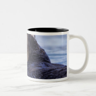 Caneca De Café Em Dois Tons Linda lontra marinha Alasca, EUA