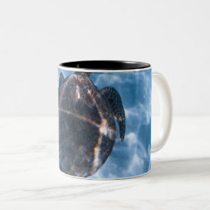 Caneca De Café Em Dois Tons Linda Tartaruga Aquática Melhor presente para a