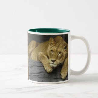 Caneca De Café Em Dois Tons Lioness Photo Mug