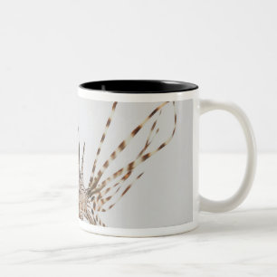 Caneca De Café Em Dois Tons Lionfish vermelho (volitans do Pterois)