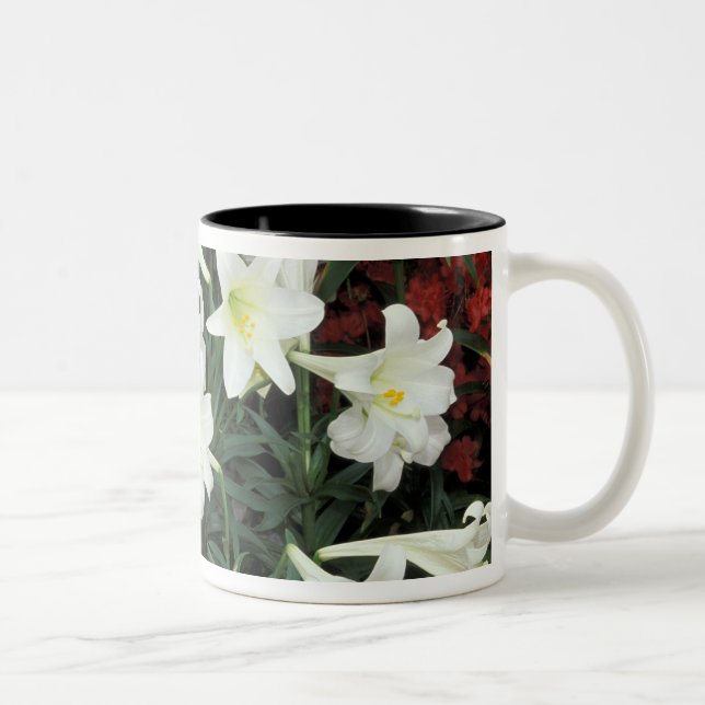 Caneca De Café Em Dois Tons Lírio-de-páscoa (Lilium regale) (Direita)