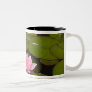 Caneca De Café Em Dois Tons Lírios de água floridos