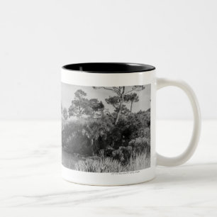 Caneca De Café Em Dois Tons Litoral
