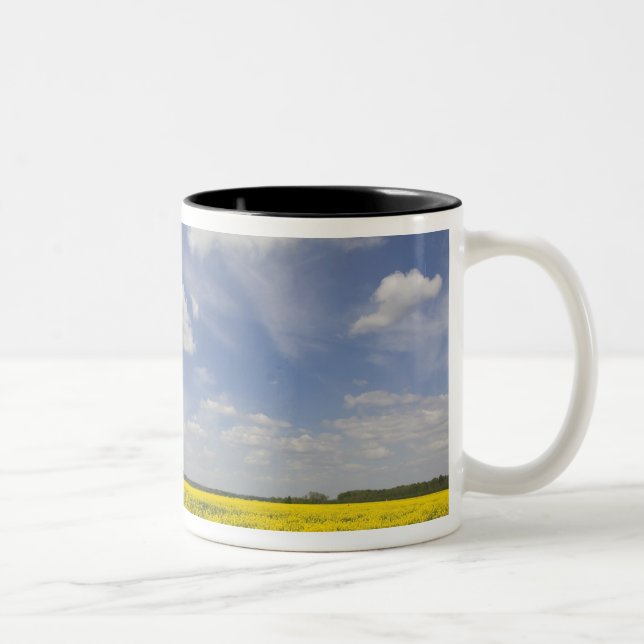 Caneca De Café Em Dois Tons Lituânia, Lituânia Central, Joniskis, domínio de (Direita)