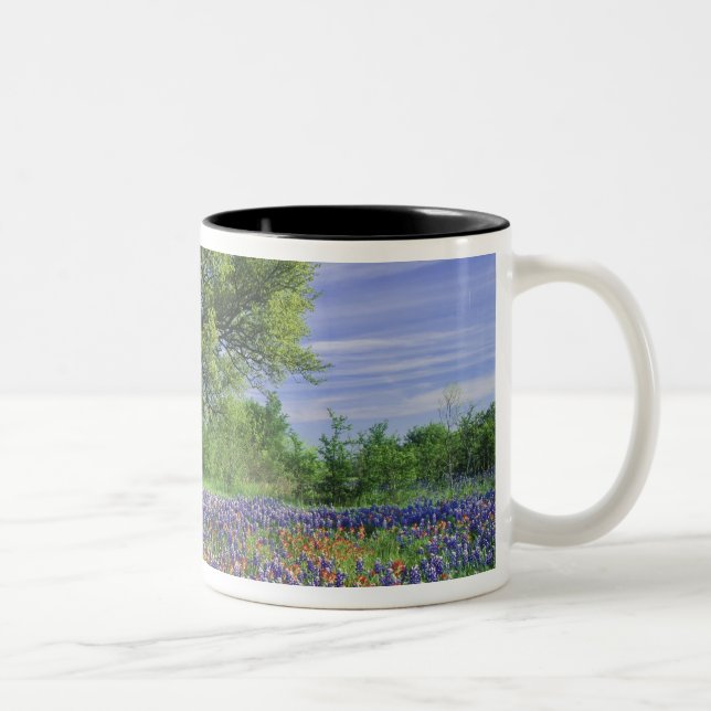 Caneca De Café Em Dois Tons Live Oak & Texas Paintbrush, e Texas (Direita)