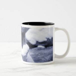 Caneca De Café Em Dois Tons Lobo