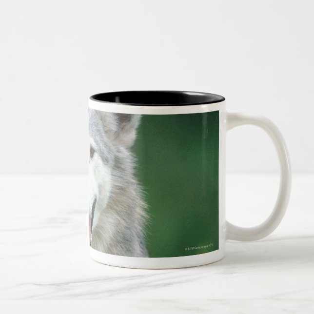 Caneca De Café Em Dois Tons Lobo cinzento 2 (Direita)