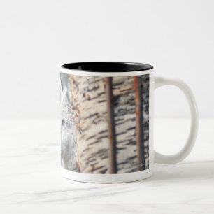 Caneca De Café Em Dois Tons Lobo cinzento atrás da árvore