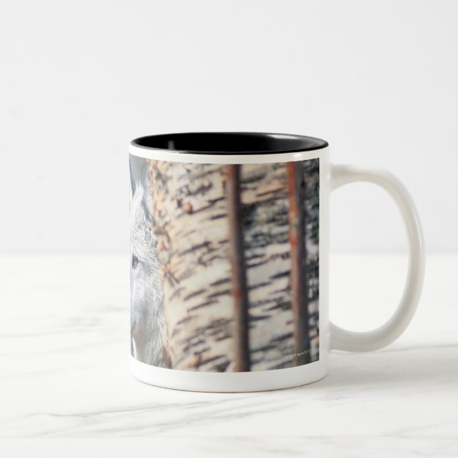 Caneca De Café Em Dois Tons Lobo cinzento atrás da árvore (Direita)