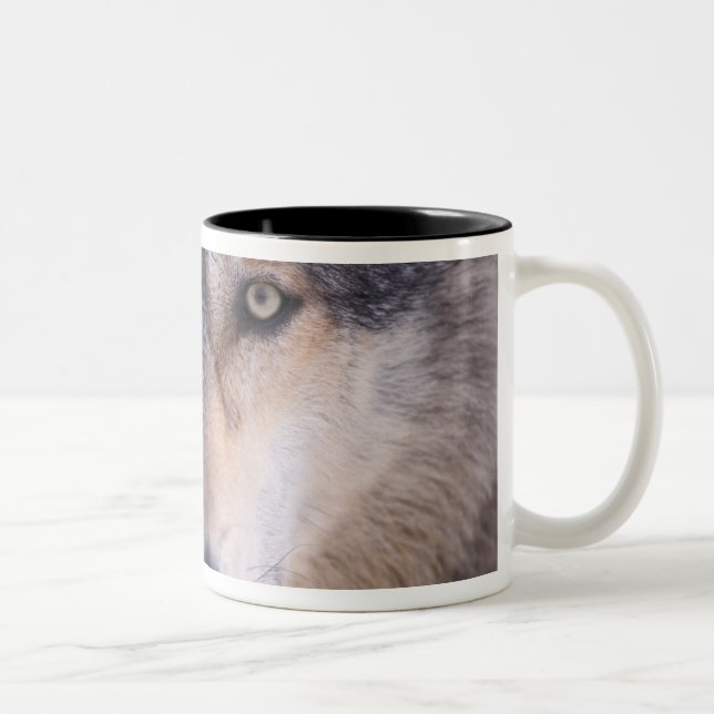 Caneca De Café Em Dois Tons lobo cinzento, Canis lupus, close-up dos olhos (Direita)