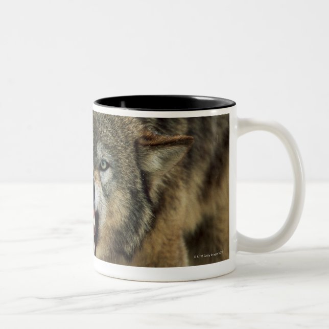 Caneca De Café Em Dois Tons Lobo cinzento Snarling (Direita)