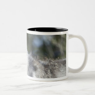Caneca De Café Em Dois Tons Lobo em Yellowstone