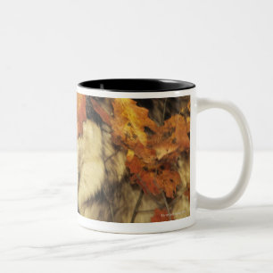 Caneca De Café Em Dois Tons Lobo (lúpus de Canis), headshot, com cor do