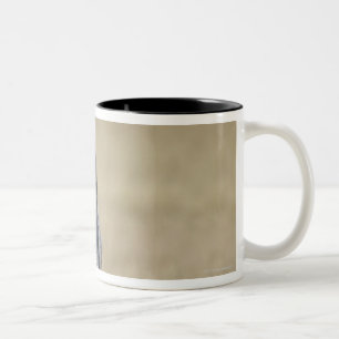 Caneca De Café Em Dois Tons Lobo (lúpus de Canis) que funciona para a câmera