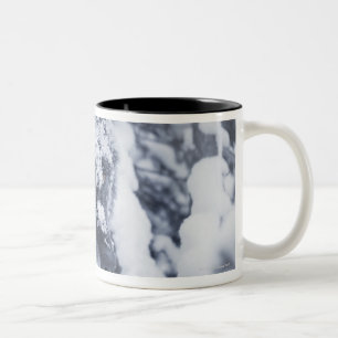Caneca De Café Em Dois Tons Lobo solitário na neve