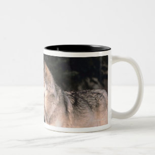 Caneca De Café Em Dois Tons Lobos cinzentos