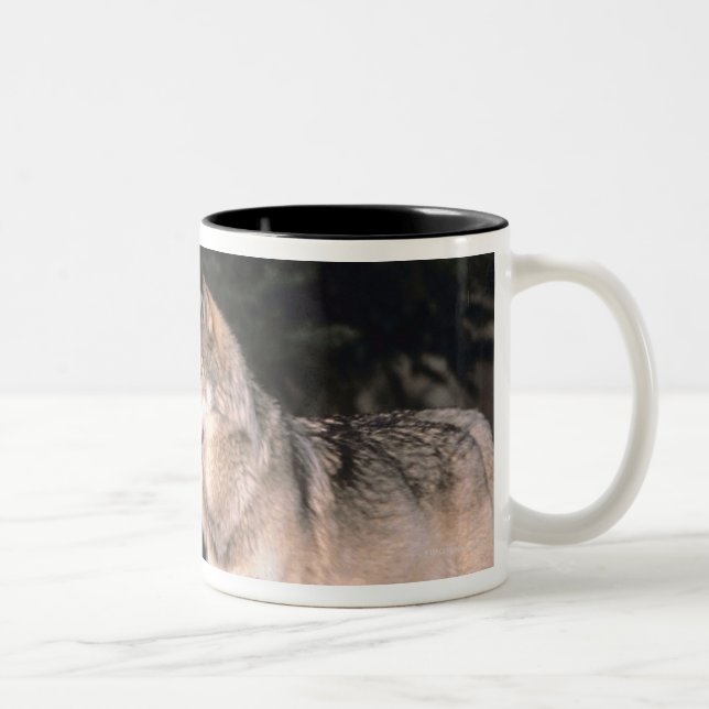 Caneca De Café Em Dois Tons Lobos cinzentos (Direita)