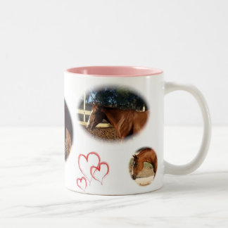 Caneca De Café Em Dois Tons Local o cavalo