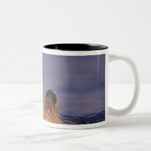 Caneca De Café Em Dois Tons Londras-marinhas, Enhydra lutris 2
