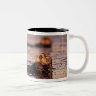 Caneca De Café Em Dois Tons Lontras Marinhas, Enhydra lutris 3