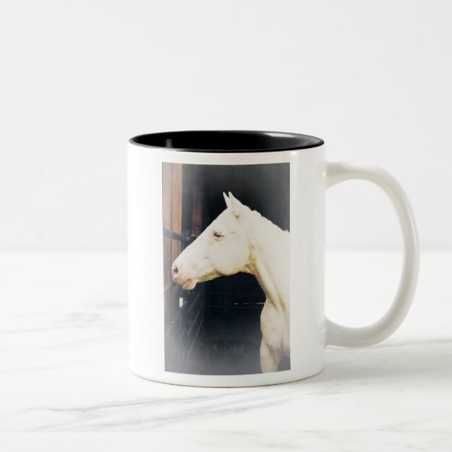 Caneca De Café Em Dois Tons Luta contra o Rocky Fight Mug (Direita)