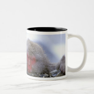 Caneca De Café Em Dois Tons Macaco da Neve Mãe e Filho, Jigokudani, Nagano,