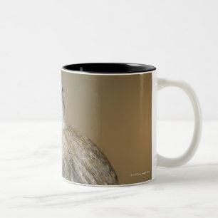 Caneca De Café Em Dois Tons Macaco de Vervet novo (aethiops do Cercopithecus)
