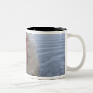 Caneca De Café Em Dois Tons Macaco japonês da neve no hotspring