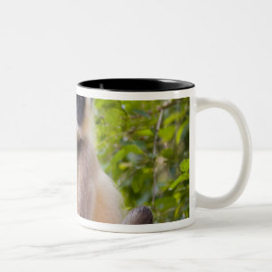Caneca De Café Em Dois Tons Macaco na selva do Parque Nacional de Ranthambore