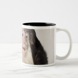 Caneca De Café Em Dois Tons Macaco que risca-se
