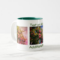 Maçãs Personalizadas Na Fotografia Da Natureza Da 