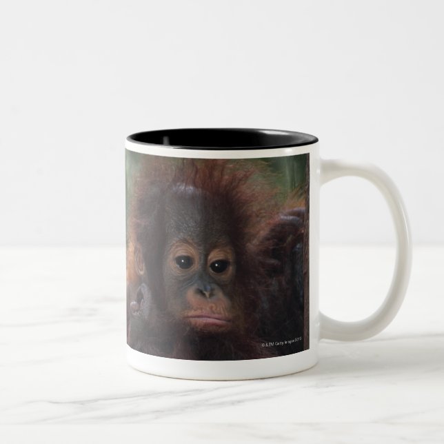 Caneca De Café Em Dois Tons Mãe do orangotango com bebê (Direita)