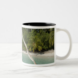 Caneca De Café Em Dois Tons Maldivas, North Male Atoll, Ilha de Kuda