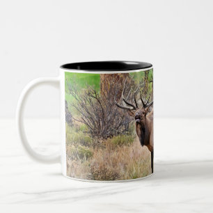 Caneca De Café Em Dois Tons Male Elk no Parque Estes, Colorado, em setembro