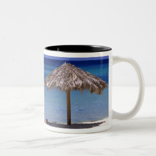 Caneca De Café Em Dois Tons Malmok Beach, Aruba, Antilhas Neerlandesas