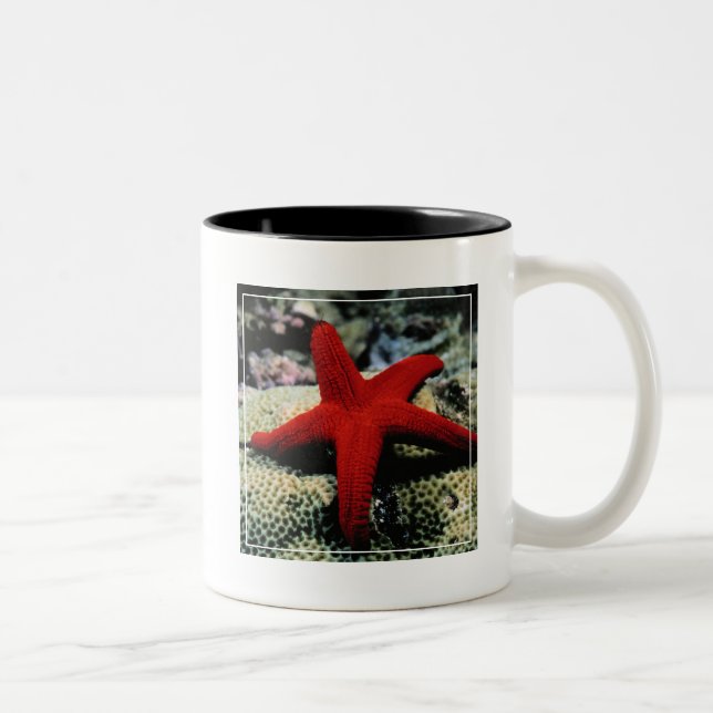 Caneca De Café Em Dois Tons Mar Vermelho dos peixes | da estrela (Direita)