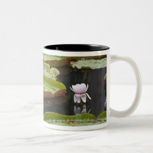 Caneca De Café Em Dois Tons Maurícia, Pamplemousses, SSR Botânico