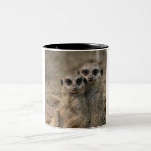 Caneca De Café Em Dois Tons Meerkat 090