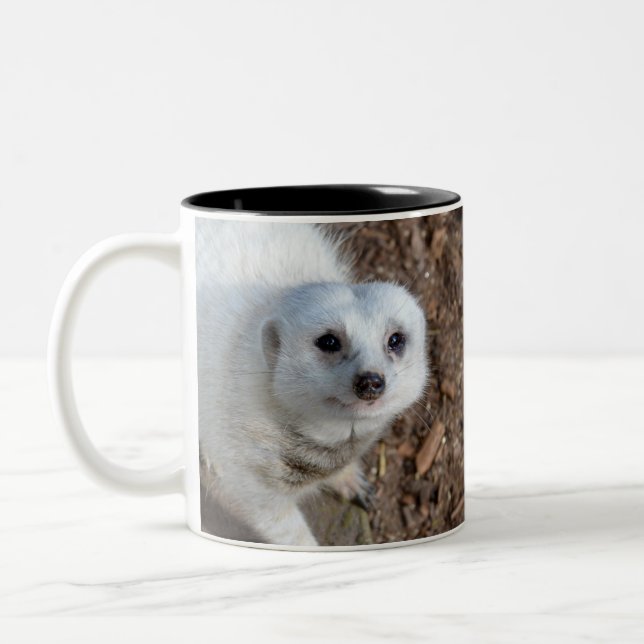 Caneca De Café Em Dois Tons Meerkat De Peles Brancas De Neve (Esquerda)