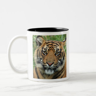 Caneca De Café Em Dois Tons Melhor Tigre