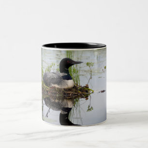 Caneca De Café Em Dois Tons Mergulhão-do-norte no ninho