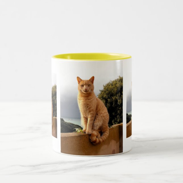 Caneca De Café Em Dois Tons Merlin na parede do jardim (Centro)