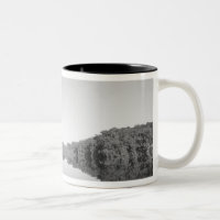 México, a polícia do Conanp Park patrulha com o fi