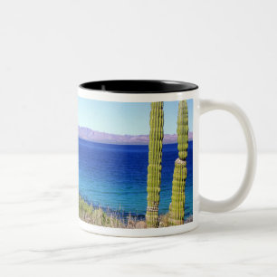 Caneca De Café Em Dois Tons México, Baja California Sur, Mulege, Bahia 2