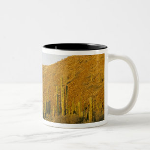 Caneca De Café Em Dois Tons México, Baja, Ilha de Santa Catalina, Mar de