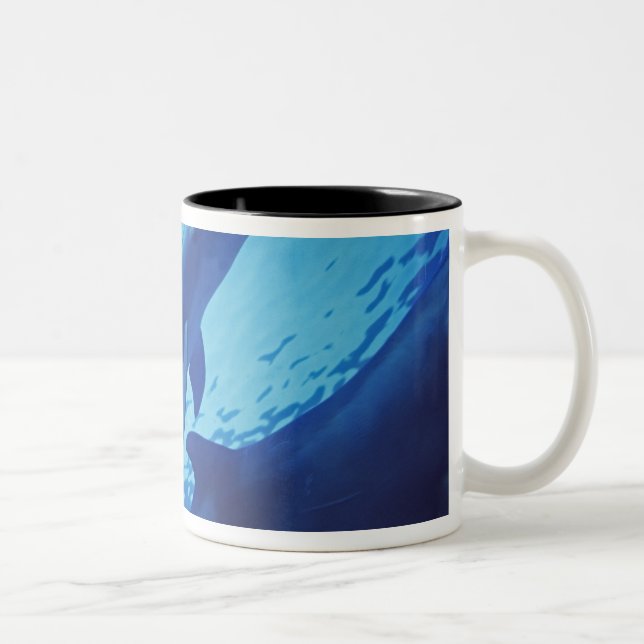 Caneca De Café Em Dois Tons México, Cozumel. Golfinho Estrangulado, Tursiops (Direita)