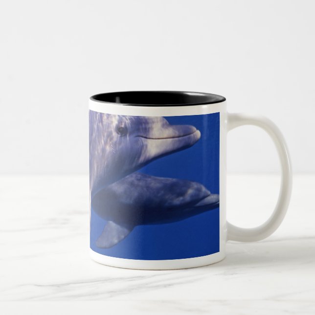 Caneca De Café Em Dois Tons México, Cozumel. Golfinho Estrangulado, Tursiops 2 (Direita)