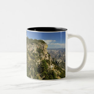 Caneca De Café Em Dois Tons México, Estado de Chihuahua, Copper Canyon. ESTA
