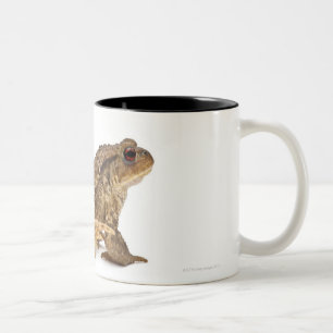 Caneca De Café Em Dois Tons Mijar do sapo comum ou do sapo europeu (bufo de