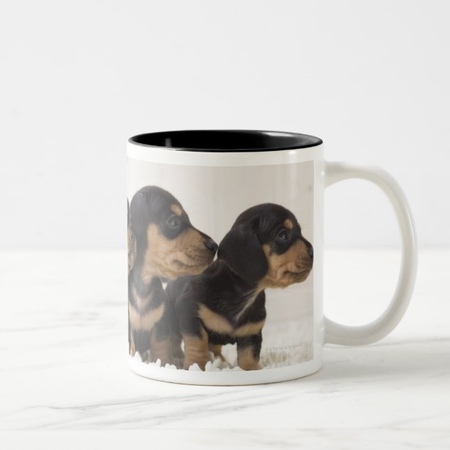 Caneca De Café Em Dois Tons Mini Dachshund quatro (Direita)